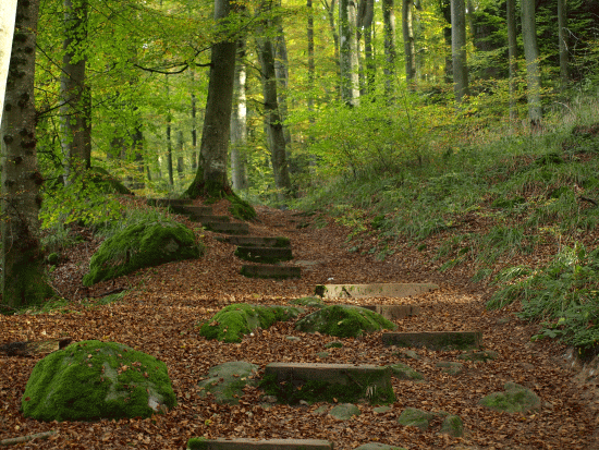 Müllertal